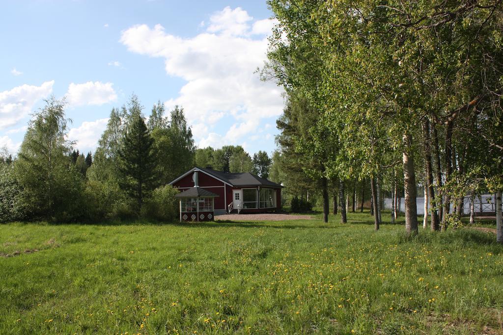 Cottage Baydar Jyraankoski Esterno foto
